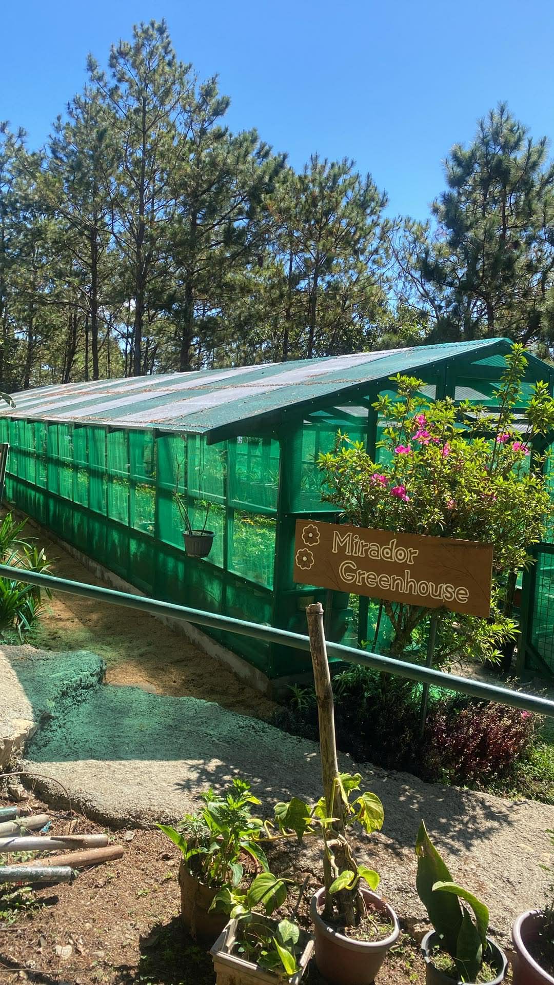 650901027_1245537664366753_8657461592850165162_n