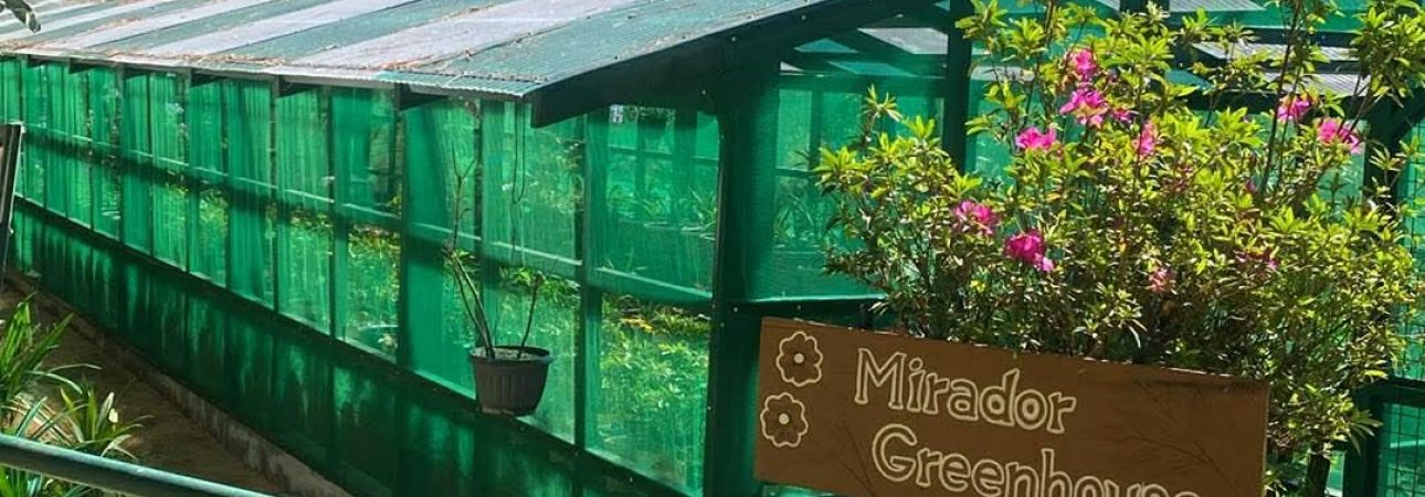 650901027_1245537664366753_8657461592850165162_n